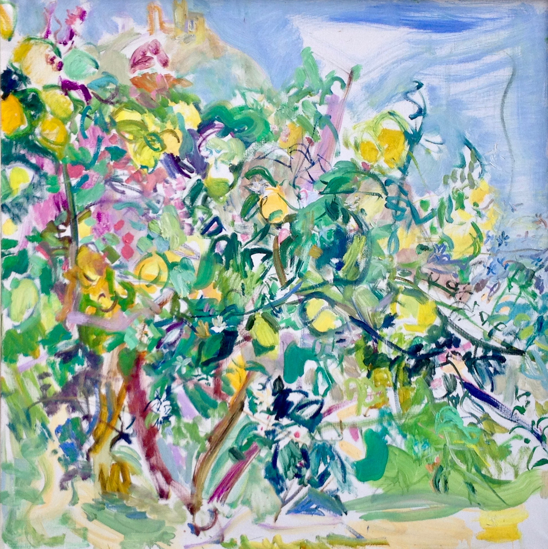 Lemon Tree